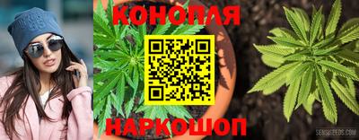 винт Нальчик