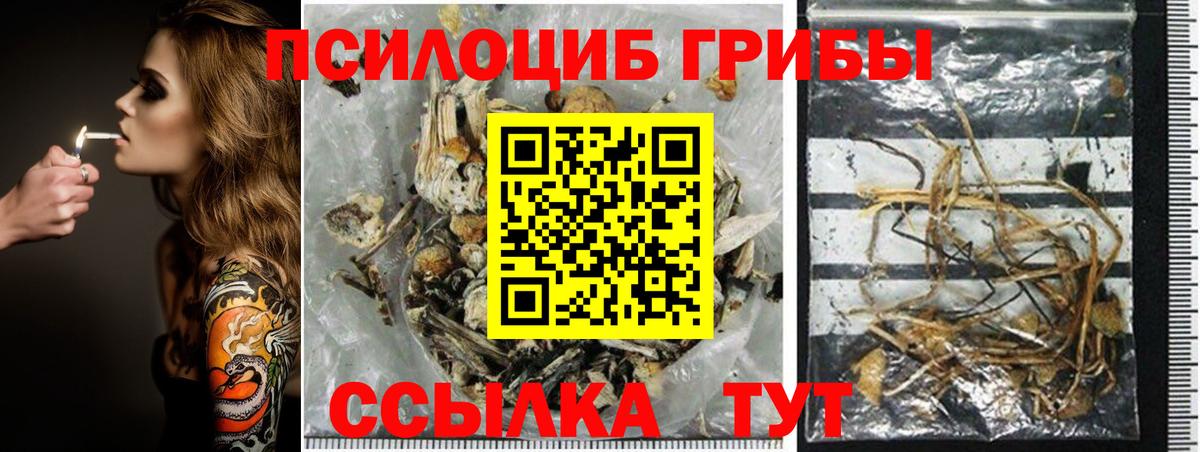 Троицк  Псилоцибиновые грибы мицелий  цена   Вход с VPN 
